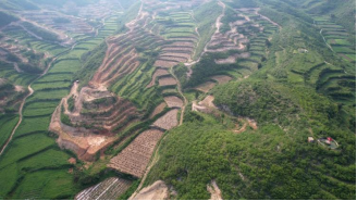 圖片關(guān)鍵詞